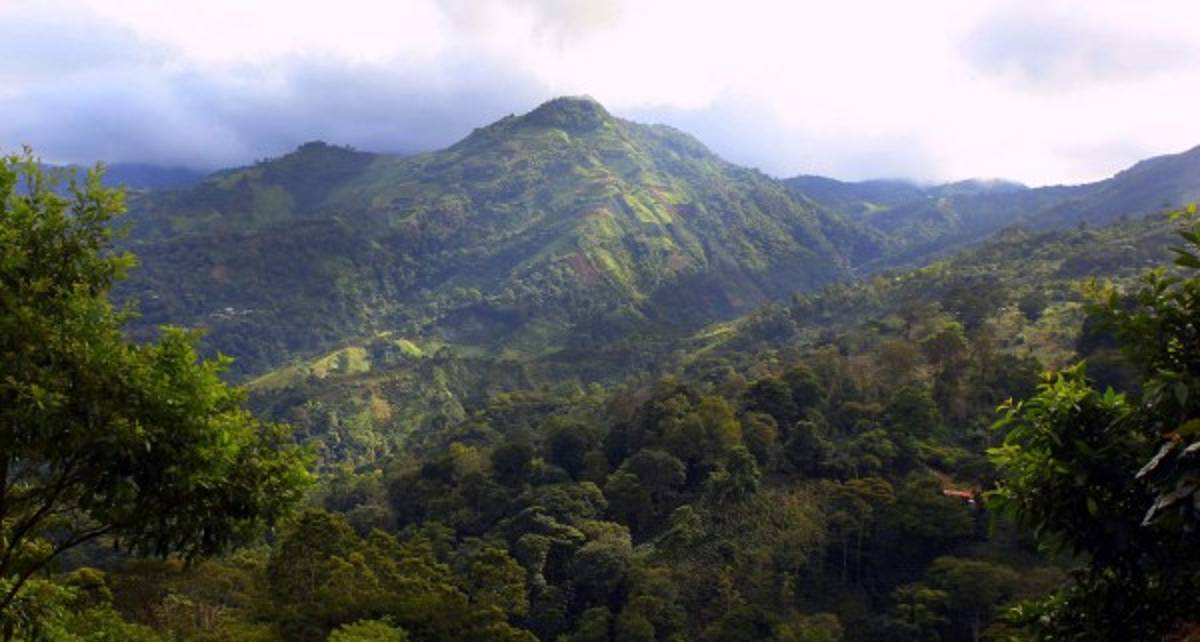 El Merendón’s forested mountains near San Pedro Sula